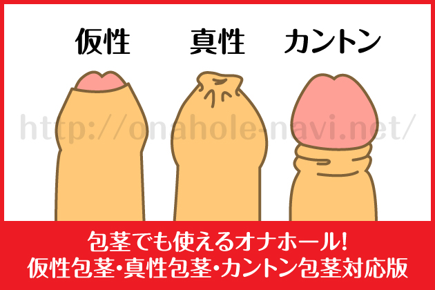 ��s�ł��g����I�i�z�[���I������s�E�^����s�E�J���g����s�Ή���