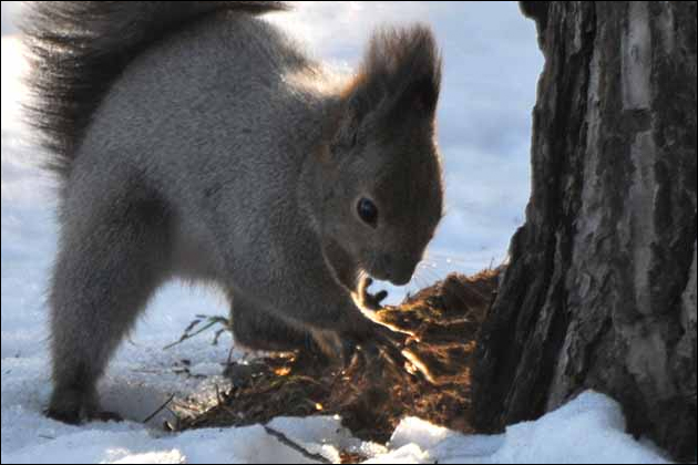 �I�i�z�[���̉B���ꏊ�I�Ƒ��Ɠ������Ă���l�͉����ɉB���΂����̂��H