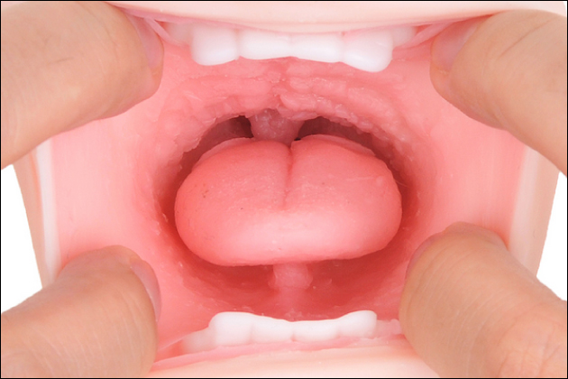 �I�i�z�[���̎g�����I�I�i�z�̎�ޕʃI�i�j�[���@�����