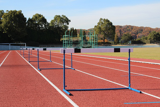 �Ƒ��E�ȁE�ޏ��Ƀo�����ɃI�i�z�[�����y���ޕ��@�I�N�ɂ��o���Ȃ����@�Ƃ́H