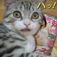 �I�i�z�[���w��Navi