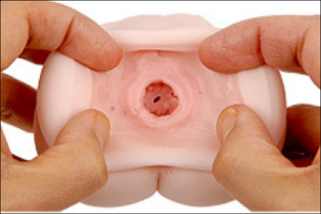 �������̂���I�i�z�[���I���X�g�o�[�W�����y���߂�I�i�z�Ƃ́H