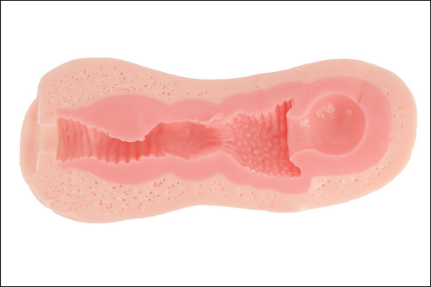 �u�Z�u���e�B�[���v�V���[�Y�I�g�C�Y�n�[�g�̑�l�C�̒�ԃI�i�z�[��