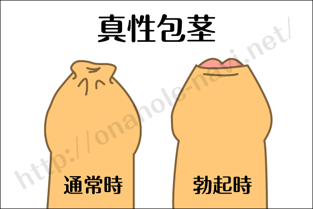 ��s�ł��g����I�i�z�[���I������s�E�^����s�E�J���g����s�Ή���