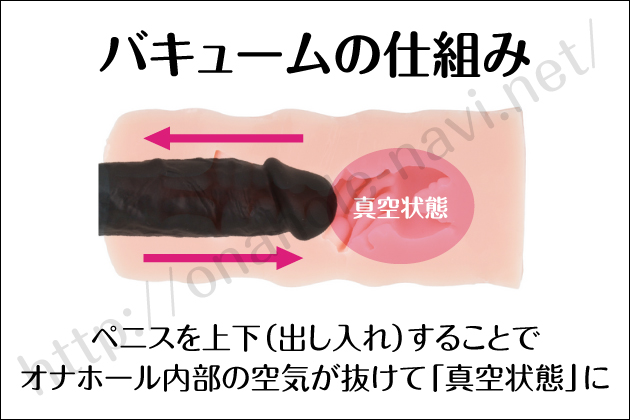 �S�ƃI�i�z�[���{���ɋC���������̂͂ǂ����H�O���r���Ă݂܂���